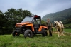 TERRAIN DX4 Altes Modell nicht lieferbar